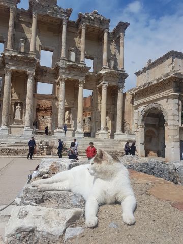 Turkey